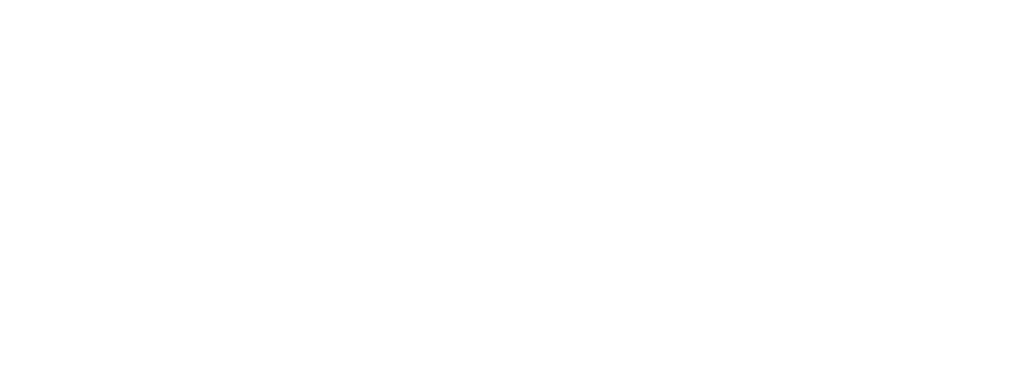 DDIP USA 2027 logo